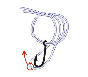 How to Tie Palomar Knot – Booms Fishing Official