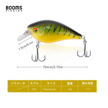 Load image into Gallery viewer, Booms Fishing CB1 Topwater Fishing Lures 3Pack Bass Trout Freshwater Saltwater Fish Lure Kit