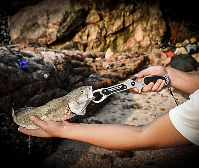 Catch Management – Tagged